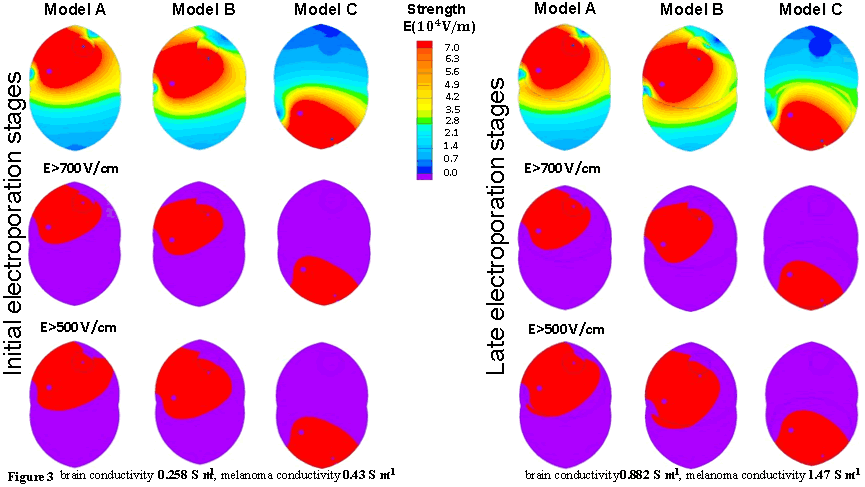 Electric field distribution during the application of pulsed electric fields for e-biopsy