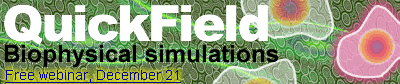 Biophysical Simulations using QuickField
