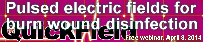 Pulsed electric fields for burn wound disinfection